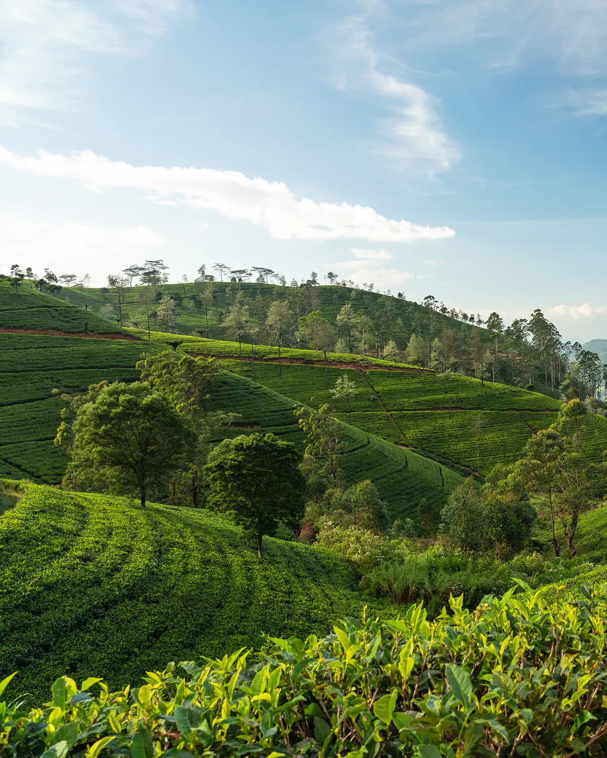 Sri Lanka